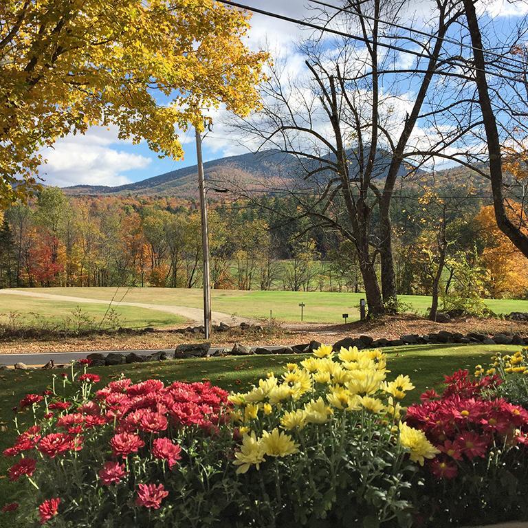 Carter Notch Inn Jackson Luaran gambar